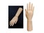 Female Mannequin Hand Jewelry Display Holder For Rings Watch Carousel 1