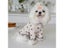 Autumn And Winter Pet Undercoat Clothes Embroidered Bear Waffle Home Vest Dog Carousel 7