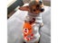 Winter Knitted Dog Jumpers For Small Large Dogs Christmas Clothes For Small Carousel 6