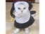 Dog Costume Carousel 3