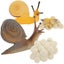 Loading Image 2 of 3