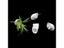 50 Pcs DIY Hydroponic Colonization Cups Flower Container Plant Grow Pot Cup Carousel 3