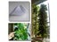 50 Pcs DIY Hydroponic Colonization Cups Flower Container Plant Grow Pot Cup Carousel 7