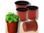 4 Size Garden Nursery Seed Starting Flowerpots Succulent Seedling Tray Carousel 3