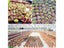 4 Size Garden Nursery Seed Starting Flowerpots Succulent Seedling Tray Carousel 8