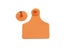 Loading Image 1 of 10