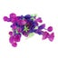 Loading Image 4 of 4