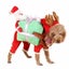Loading Image 2 of 2