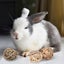 1 Set Rabbit Toys Bunny Chew Toys Cage Hanging Toys With Balls For Small Pets R Carousel 3