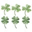 6pcs Iron On Embroidered Green Clover Patches Diy Cloth Stickers For Sewing Carousel 1