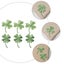 6pcs Iron On Embroidered Green Clover Patches Diy Cloth Stickers For Sewing Carousel 3