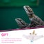 Hamster Costume Bearded Dragon Accessories Pet Hamster Hats Bearded Dragon Hats Carousel 3