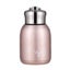 Stainless Steel Pot bellied Cups Portable Thermal Cup Mini Bottle Cup Water Cup Carousel 1