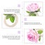 4pcs Rose Flower Napkin Holders Rose Flower Napkin Rings Handicraft Flower Napk Carousel 2
