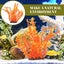 Fish Tank Aquatic Plant Fish Tank Landscape Decorations Fake Plant Models Fake Carousel 4