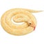 Loading Image 2 of 4