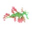 Loading Image 1 of 2
