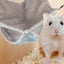 Pets Hammock Pets Hammock Bed Small Pets Hammock Hanging Sleeping Bag For Hamst Carousel 3