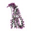 Loading Image 2 of 4
