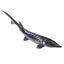 Kids Bath Toy Fish Photography Prop Marine Life Toys Fake Chinese Sturgeon Fish Carousel 4