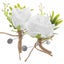 Loading Image 1 of 2