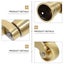 Universal Caster Sturdy Brass Caster 360 Degree Rotation Caster For Furniture Carousel 3