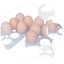 Loading Image 2 of 2