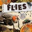 Flies (Bugs and Beetles) Carousel 1