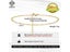 Rinntin 925 Silver 14K Gold Women's Paperclip Chain Anklet Foot Chain Jewelry Carousel 3
