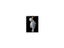 Loading Image 1 of 10