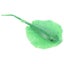 Loading Image 1 of 5