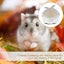 Stuffed Hamster Squirrel Bed Cage Warm Hamster Hut Bunny Warm Cage Sleeping Bag Carousel 3