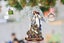 8Pcs Christmas Ornaments Set Christmas Tree Santa Claus Acrylic Hanging Crafts Carousel 8