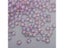 50PC/lot 8mm Frosted Gradient Color Star Beads Czech Glass Loose Spacer Beads Carousel 7