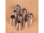 8Pcs/Set Large Stainless Steel Pastry Nozzles Icing Piping Tips Cream Rose Cake Carousel 6