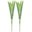 Loading Image 2 of 2