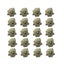 Loading Image 1 of 4