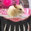 Toy Hammock Stuffed Animals Tassels Rabbit Hammock Chinchilla Hammock Hamster H Carousel 3