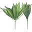 Loading Image 1 of 2