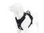 TRUE LOVE Pet Harness No Pull Nylon Reflective Dog Harness Adjustable Carousel 3