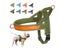 Dog Harness Carousel 2