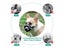 Adjustable Dog Muzzle Buckle Design Breathable High Elasticity Puppy Muzzle Pet Carousel 7