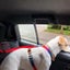 Solid Color Two-in-one Pet Car Seat Belt Nylon Lead Leash Backseat Safety Belt Carousel 5