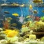 Usb Powered Fish Tanks Air Pump Aerator Pump Silent Aquarium Bubbler Pump Carousel 4