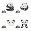 4pcs Breastpin Lovely Panda Shape Cute Small Gift Costume Props Decoration For Carousel 1