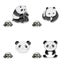 4pcs Breastpin Lovely Panda Shape Cute Small Gift Costume Props Decoration For Carousel 2