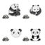 4pcs Breastpin Lovely Panda Shape Cute Small Gift Costume Props Decoration For Carousel 3