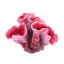 Glow Accessories Fish Tank Decorations Aquarium Decor Coral Reef Decorations Pa Carousel 3