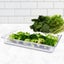 SOGA 100mm Clear Gastronorm GN Pan 1/1 Food Tray Storage Bundle of 2 Carousel 2
