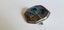 Antique Art Deco STERLING SILVER Butterfly Wing Brooch – Thomas L Mott Carousel 3